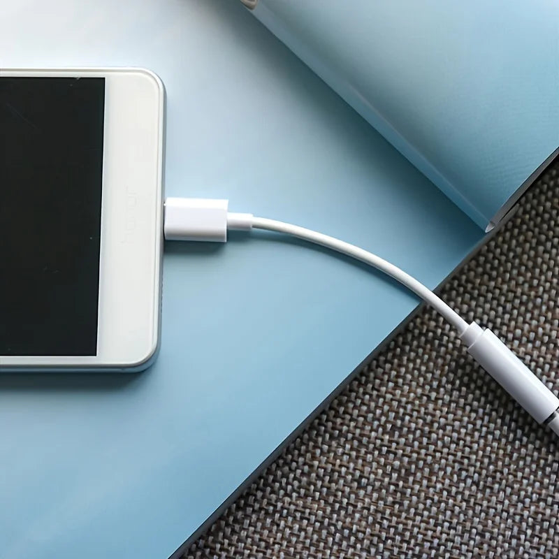 Type C Aux Adapter