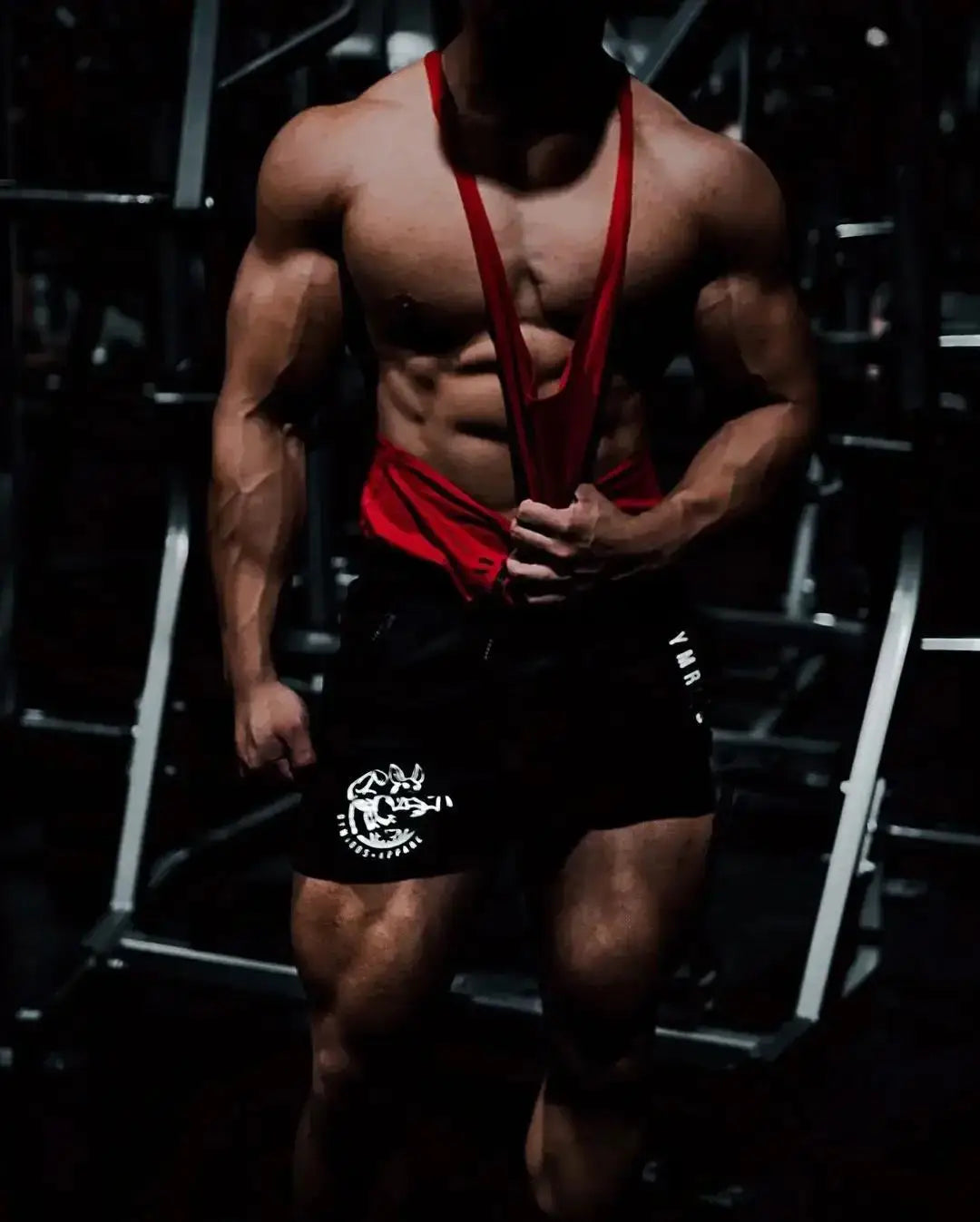 Sports Shorts For Workout